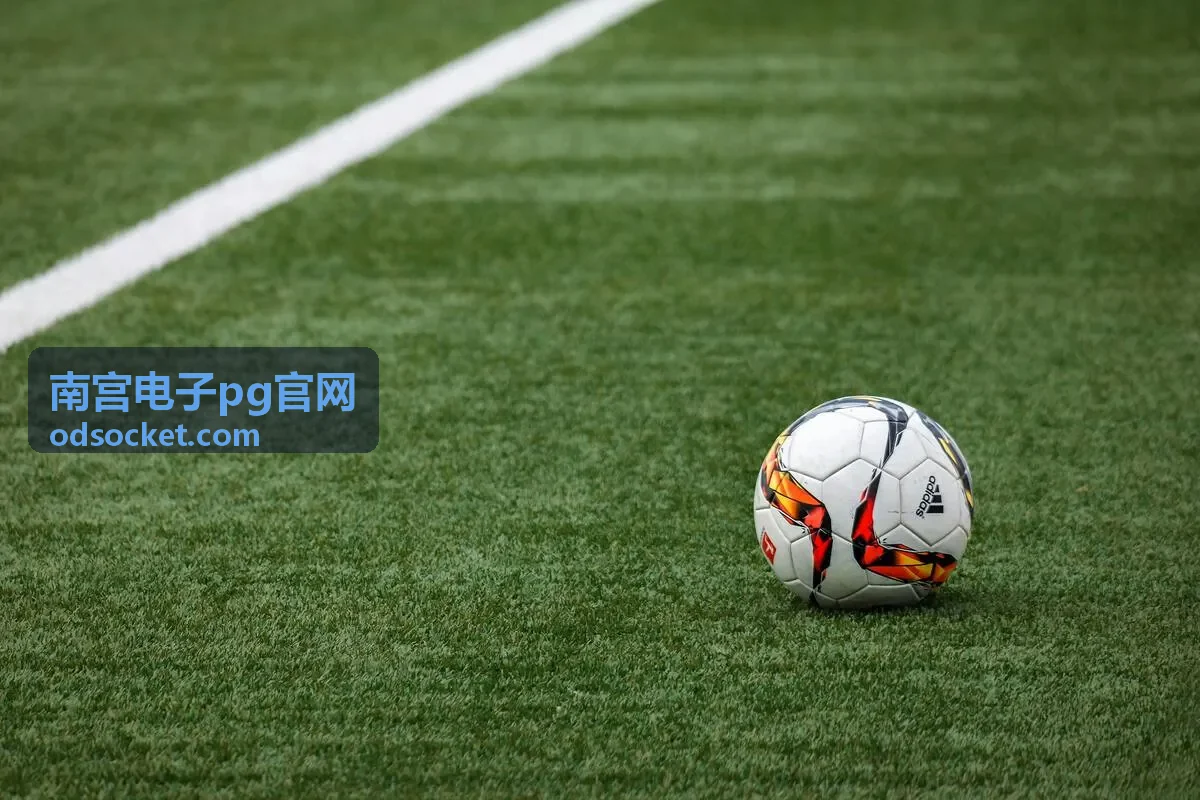 南宫电子pg官网账号信息填写说明配图