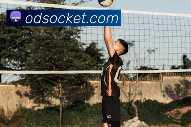 世界杯指定官网服务体系